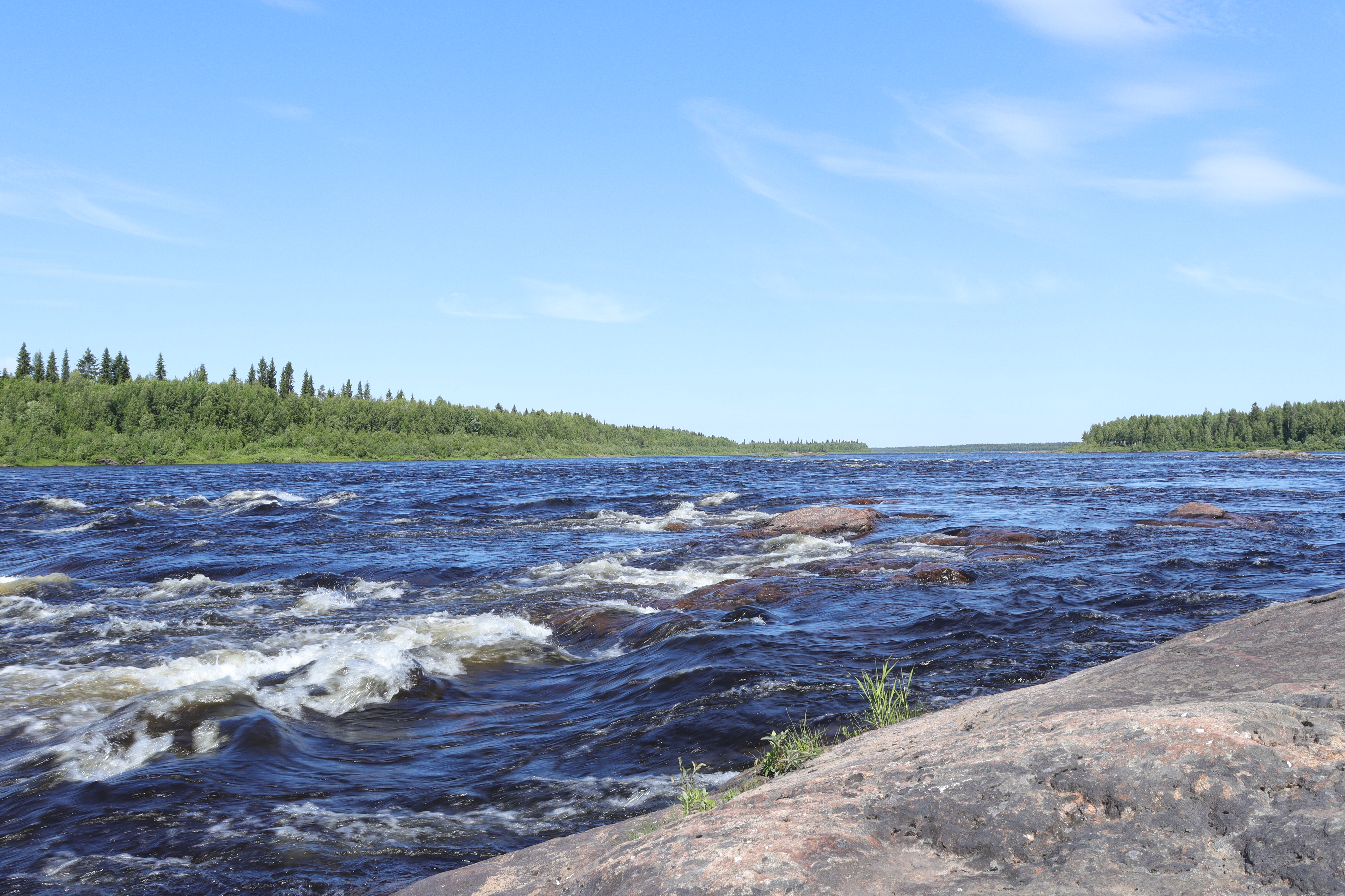 Landscape 1